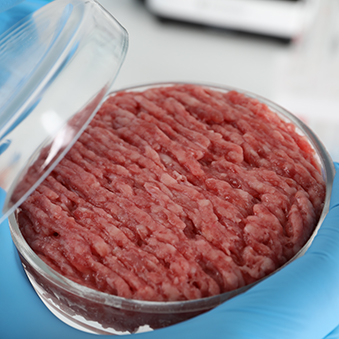 Cellular meat