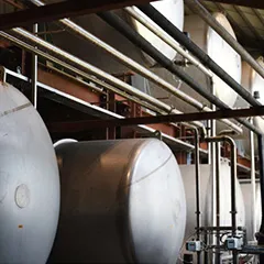 Rum Production