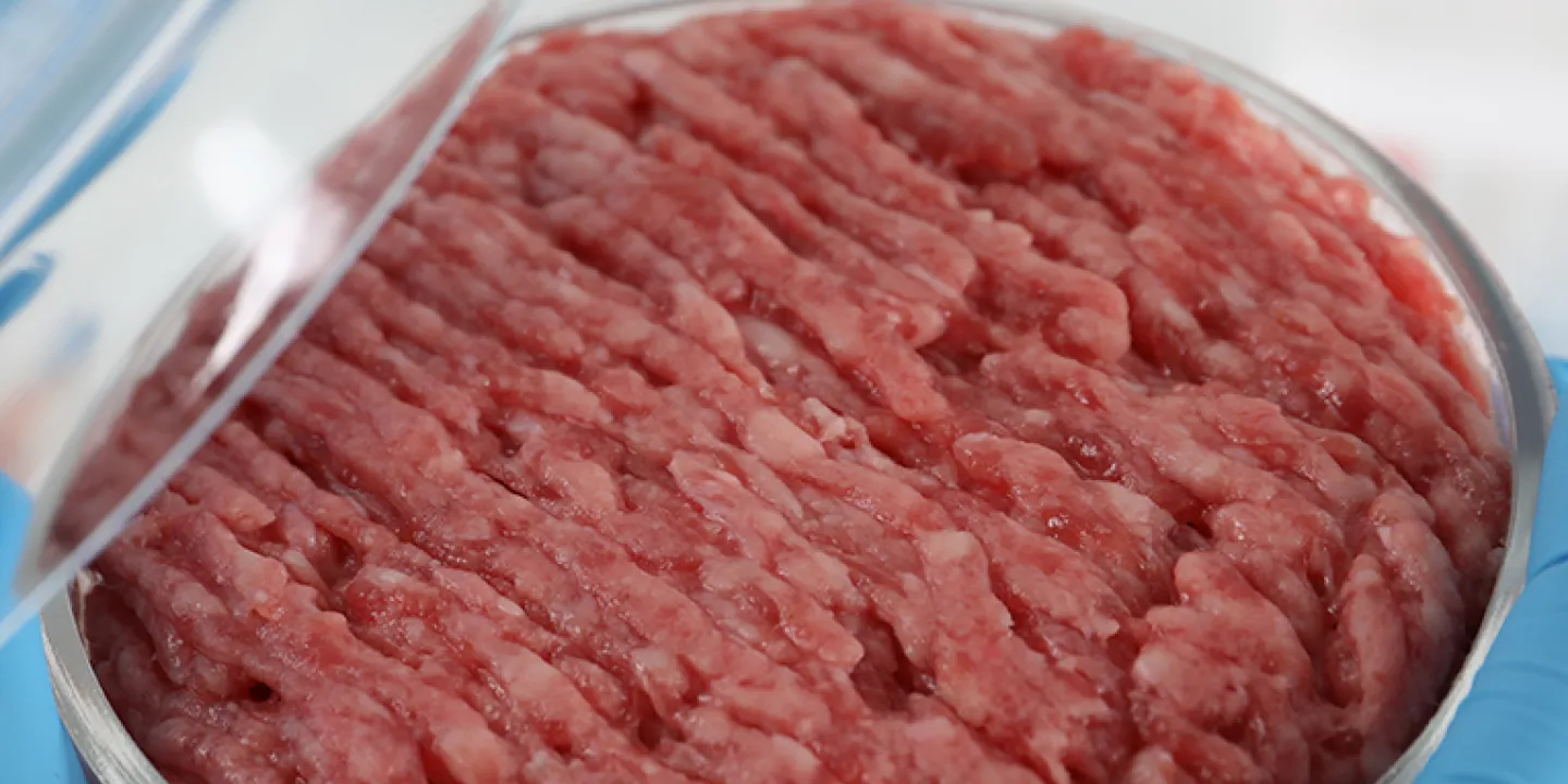 Cellular meat