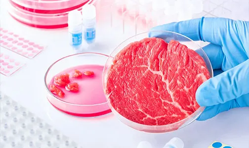 Cellular Meat