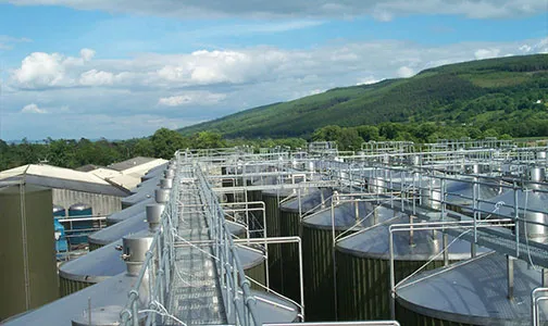Vessels, Tanks & Silos