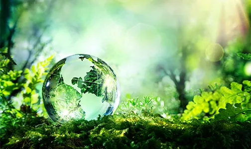 Sustainability